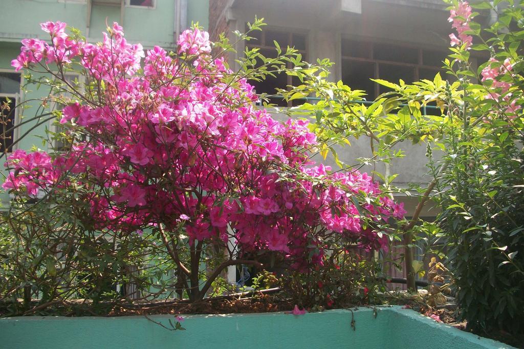 Hotel Impala Garden Kathmandu Luaran gambar