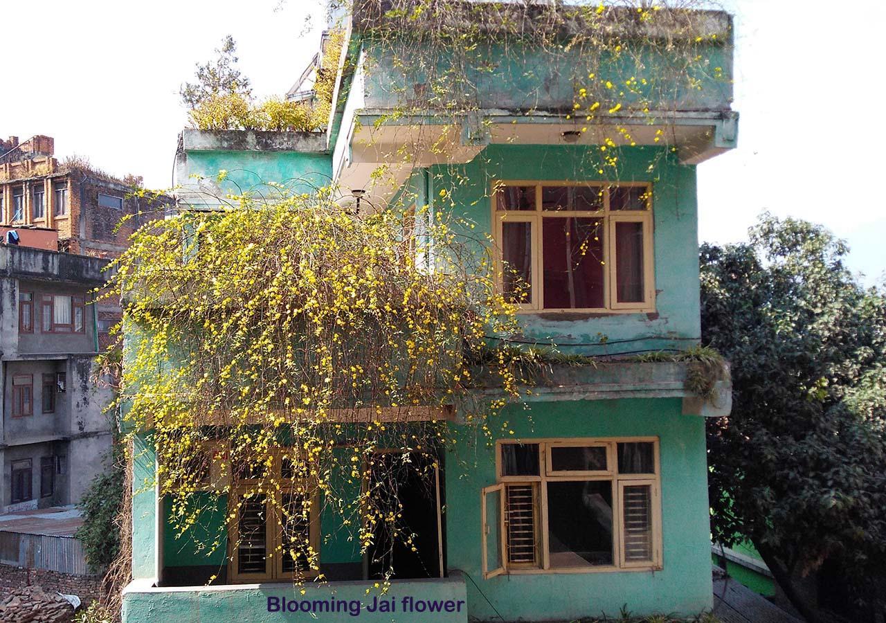 Hotel Impala Garden Kathmandu Luaran gambar